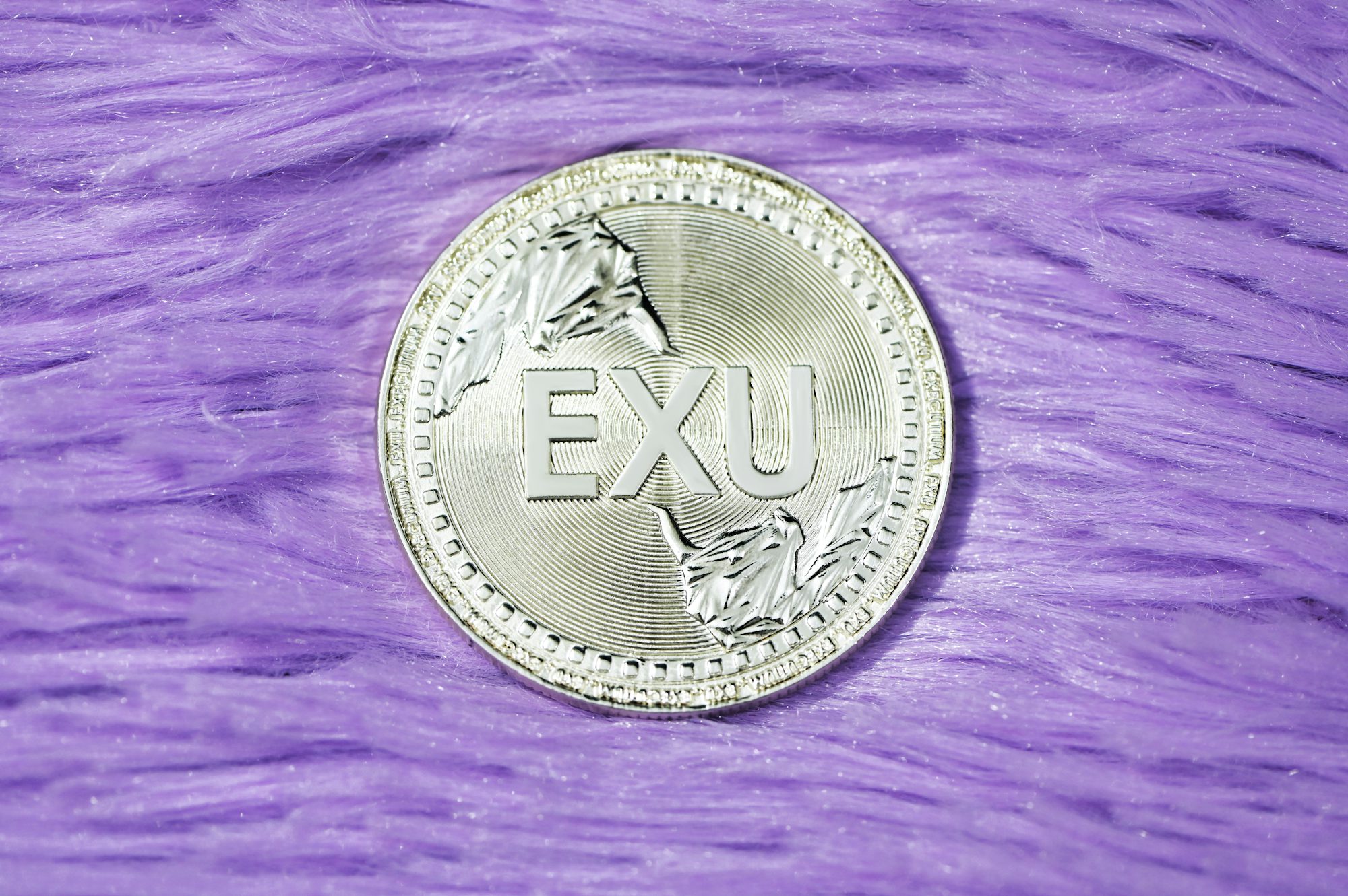 Navigating the Digital Economy: The Rise of E-commerce